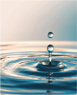 Water Quality