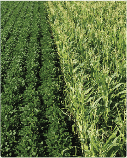Agricultural & Non-Point Sources